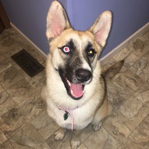 Meet your Posher, Trista